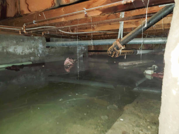 Best Flooded house restoration  in Rancho Mission Viejo, CA