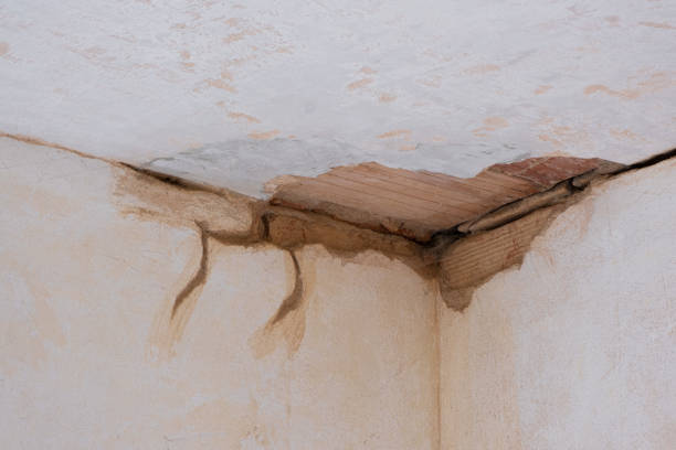 24/7 water damage repair in Rancho Mission Viejo, CA