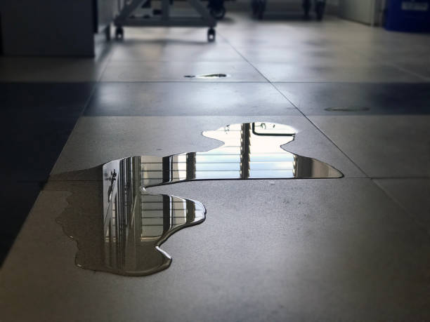 Best Flood restoration services  in Rancho Mission Viejo, CA