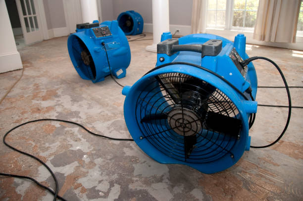 Best Local water damage restoration  in Rancho Mission Viejo, CA